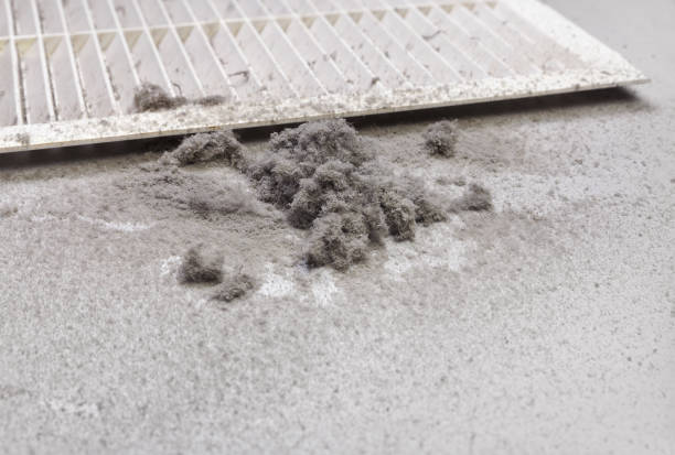 Best Ductwork Cleaning Services  in Estill Springs, TN
